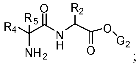 Figure imgf000261_0001