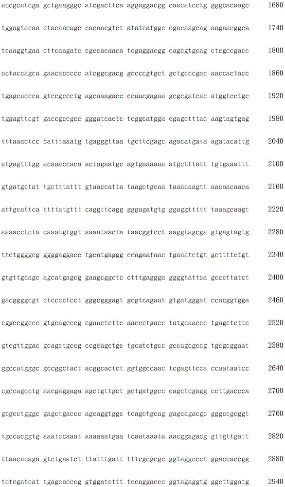 Figure IDA0002872168960001331