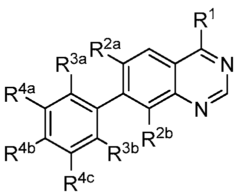 Figure imgf000004_0001