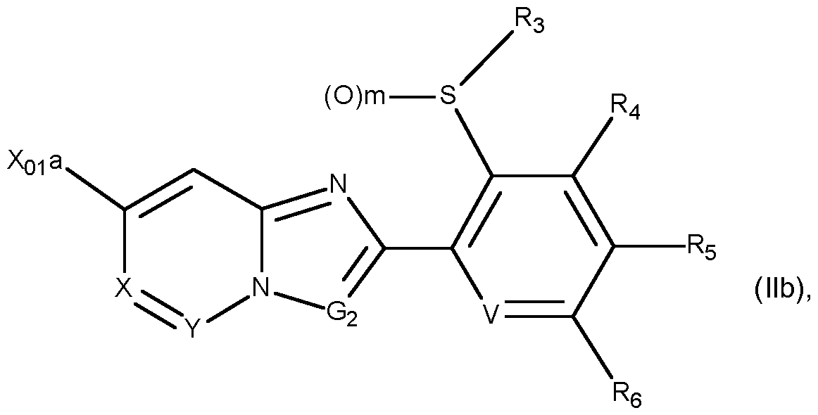 Figure imgf000017_0001