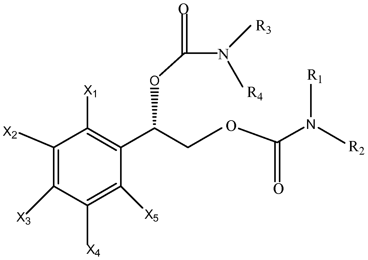 Figure imgf000012_0001