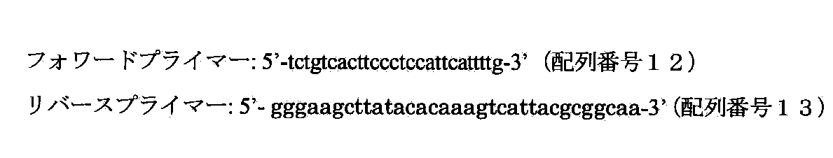 Figure JPOXMLDOC01-appb-I000006