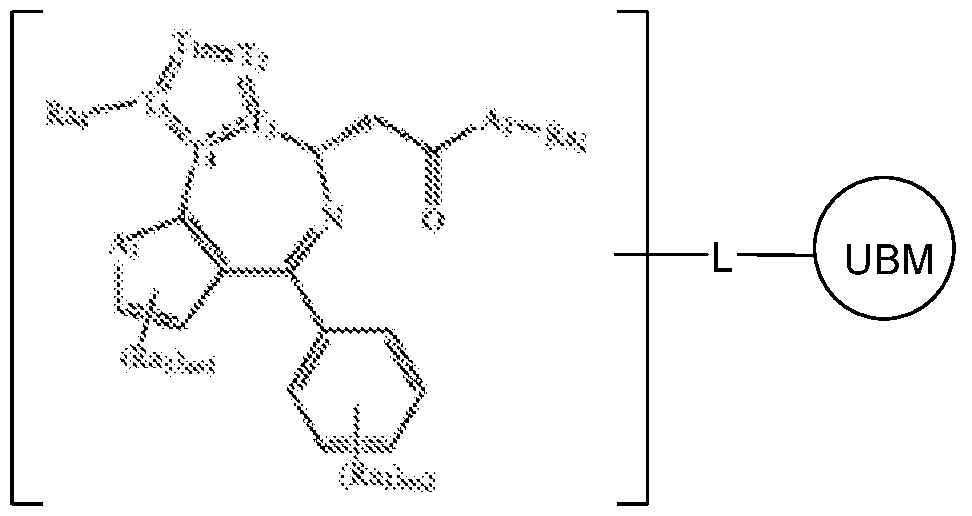 Figure imgf000162_0003