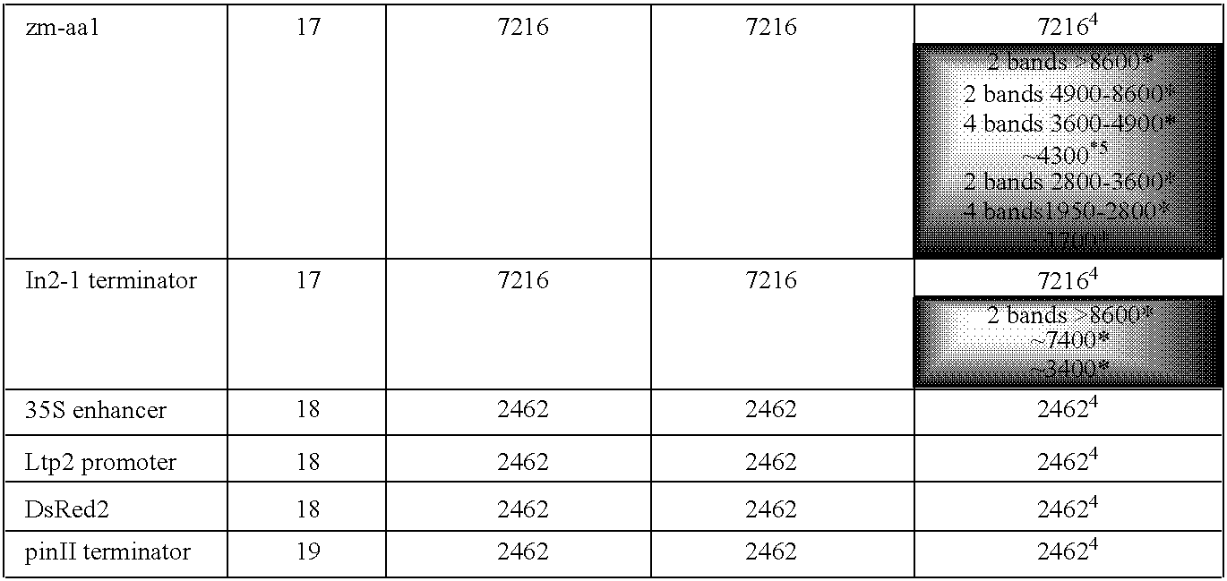 Figure US20090210970A1-20090820-C00006