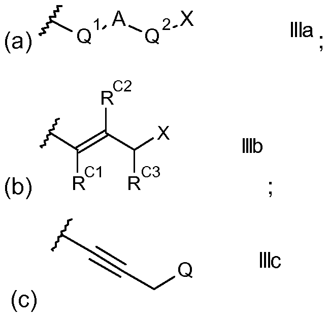 Figure imgf000011_0002