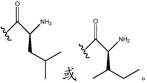 Figure BDA0003357934970000253