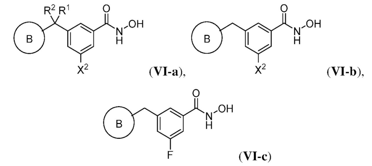 Figure 2022543106000026