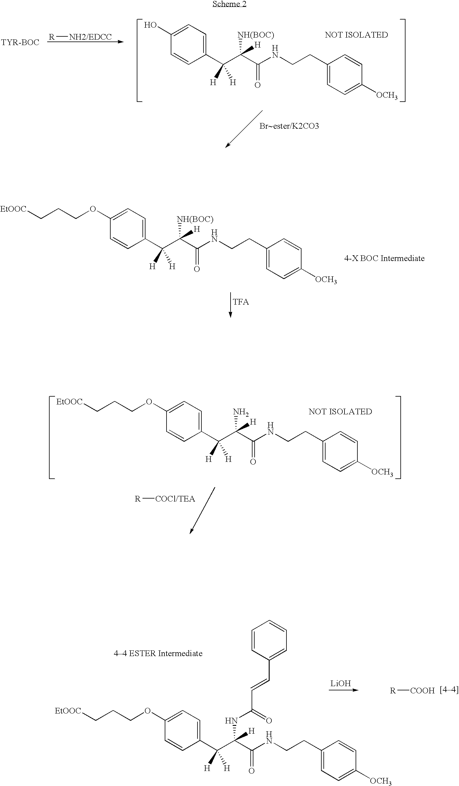 Figure US20050037429A1-20050217-C00005