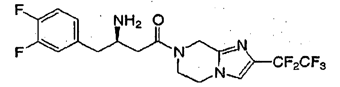 Figure 112008077521217-PCT00116