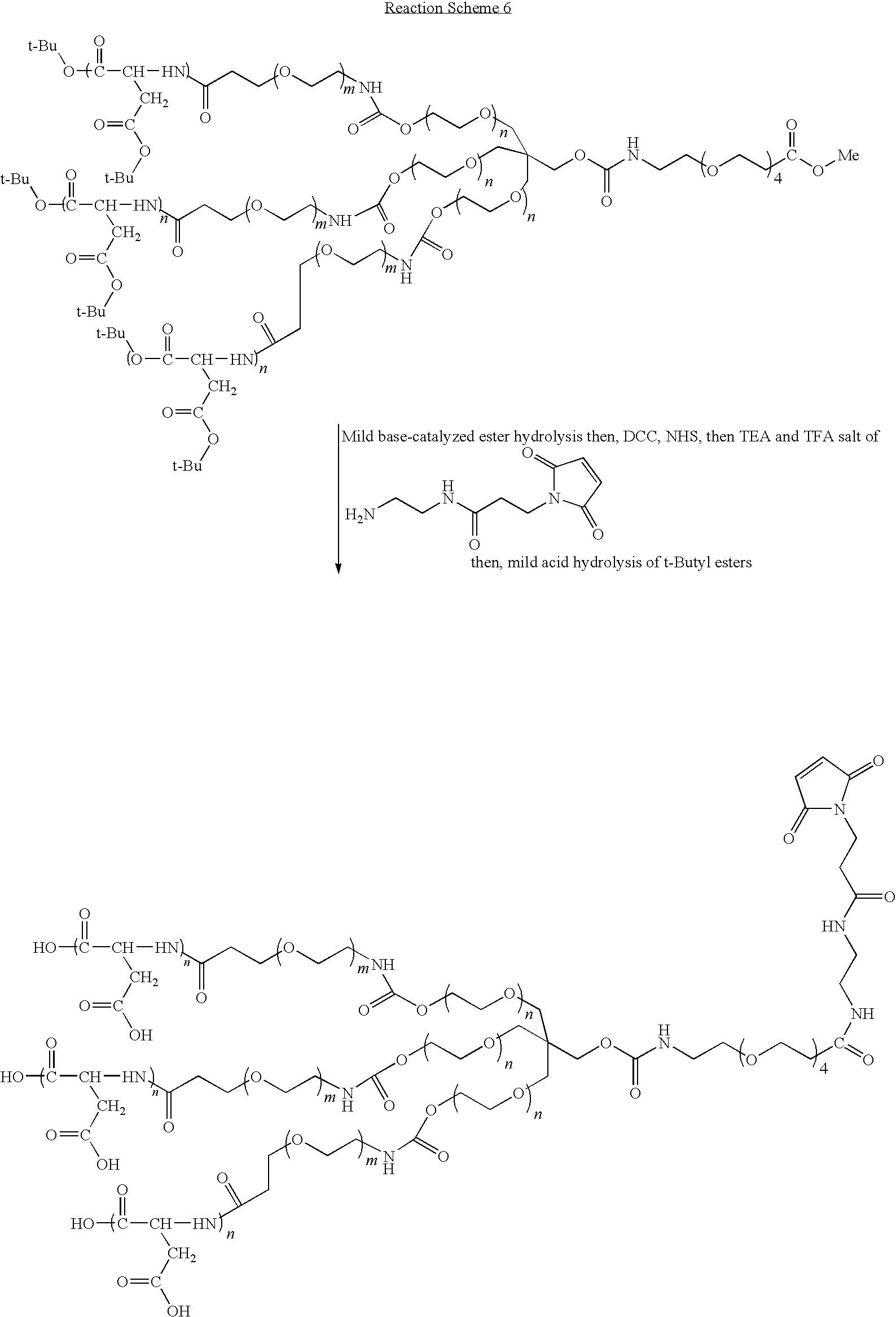 Figure US20100286355A1-20101111-C00027