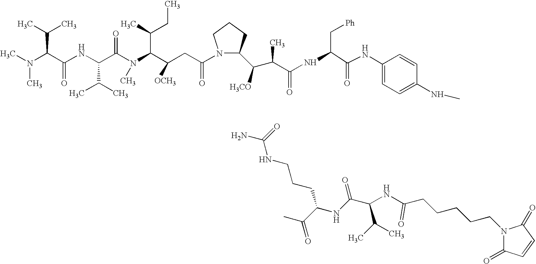 Figure US20050123536A1-20050609-C00033