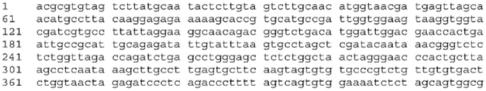 Figure BDA0003465582640001342