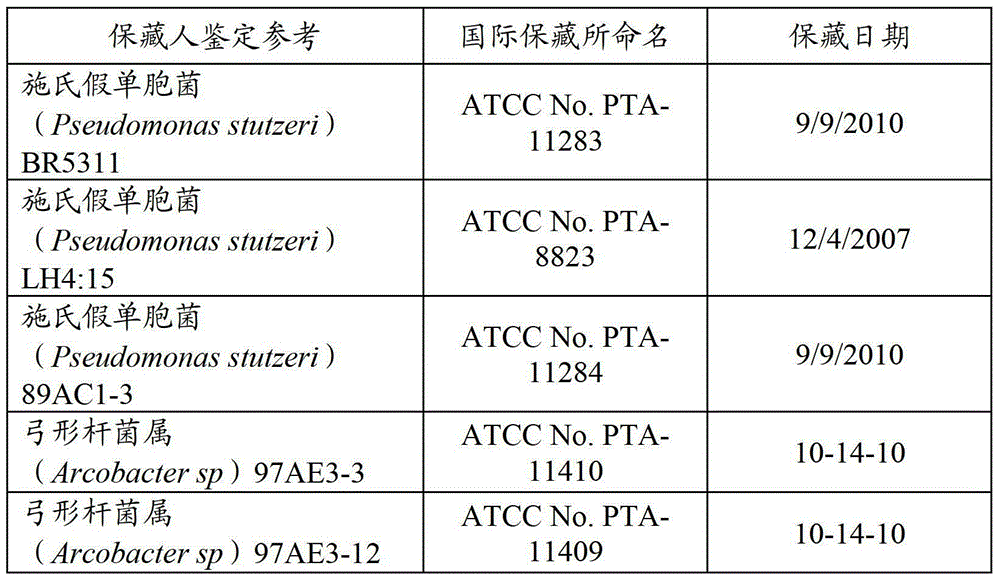 Figure BDA00003124418900041