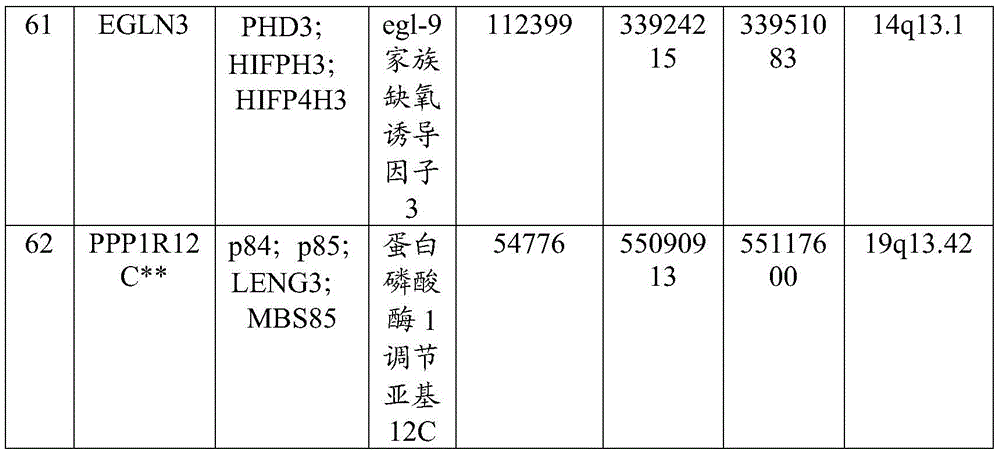 Figure BDA0003657959080001341