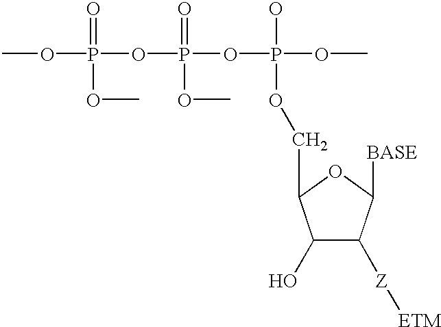 Figure US20030087228A1-20030508-C00040