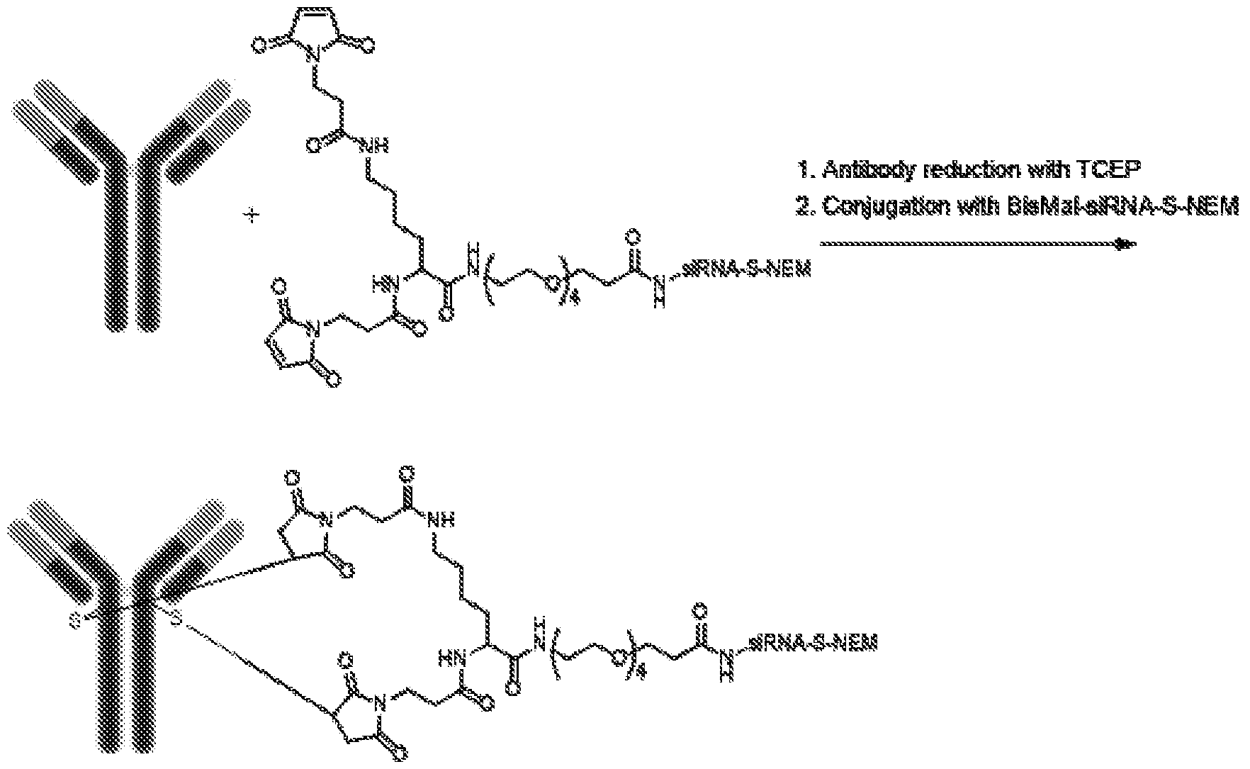 Figure imgf000088_0001