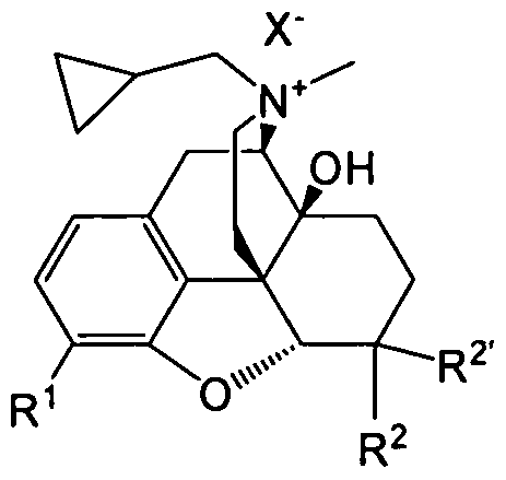 Figure imgf000010_0003