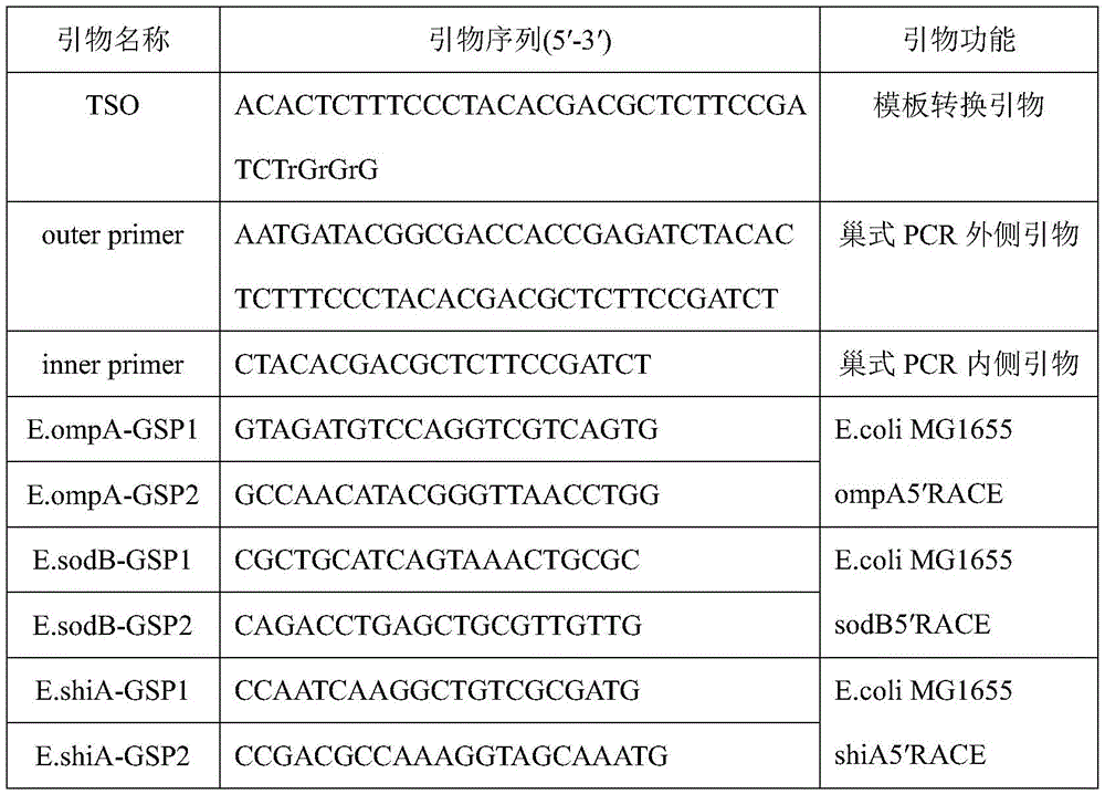 Figure BDA0001756236450000031