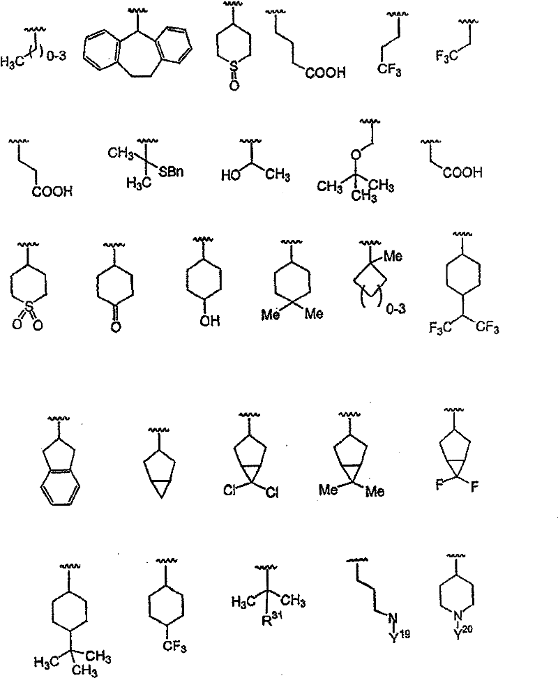 Figure BSA00000554725400161