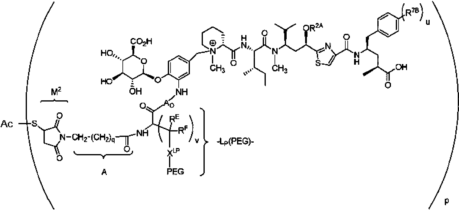 Figure imgf000118_0002
