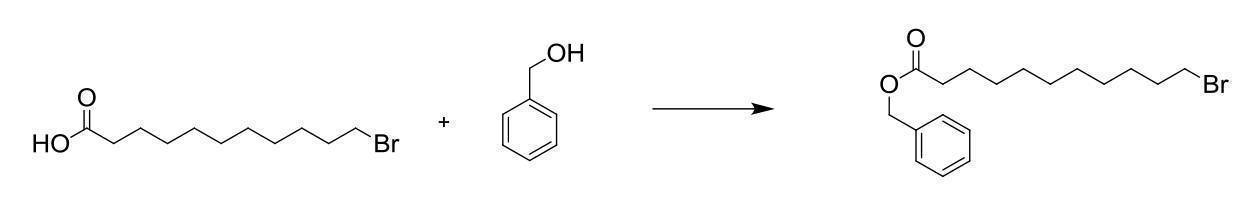 Figure 2022095757000062