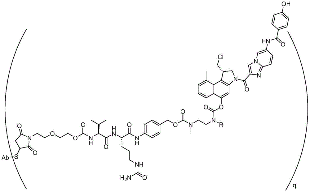 Figure FDA0002933421320000031