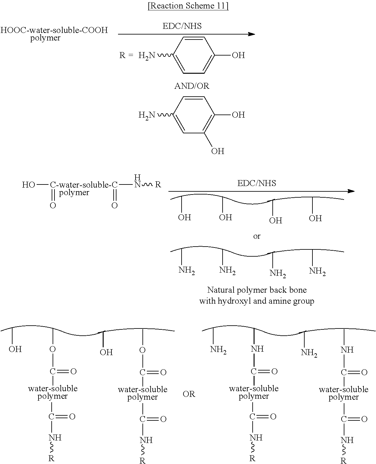 Figure US08968716-20150303-C00017