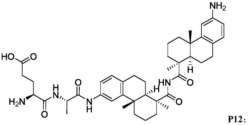 Figure FDA0003169092340000061