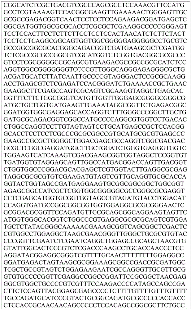 Figure BDA0002872168850001671