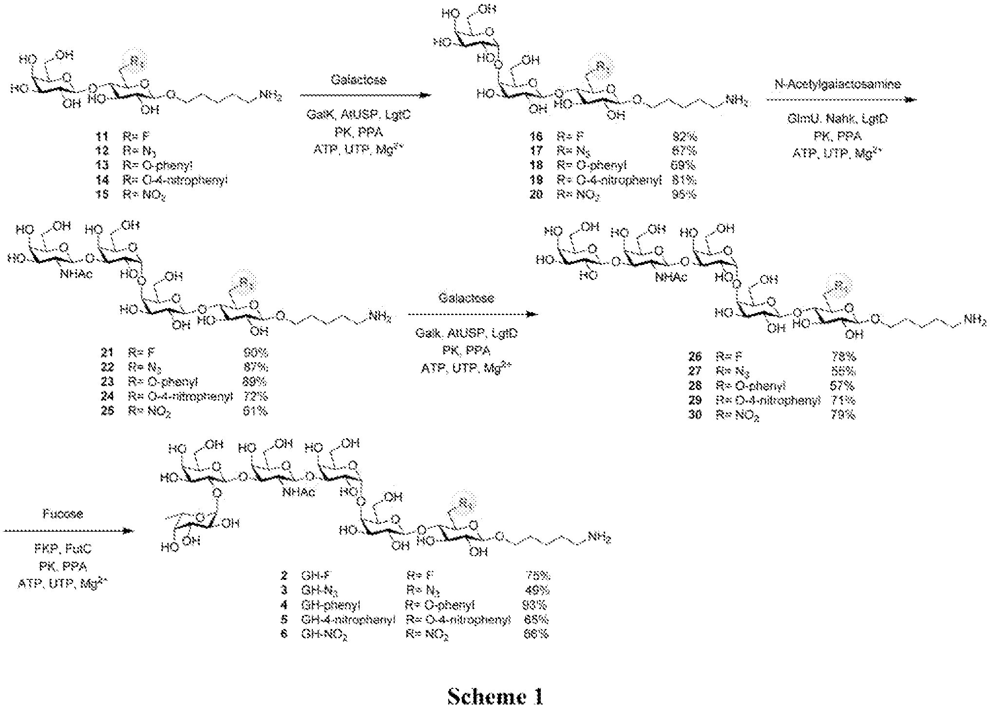 Figure imgf000031_0001