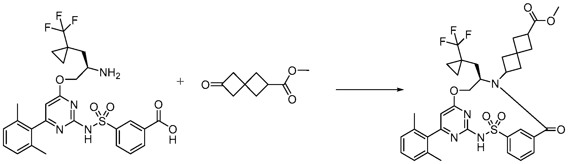 Figure imgf000351_0001