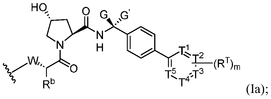 Figure imgf000024_0001