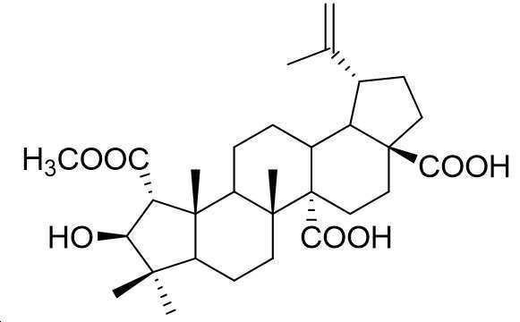 Figure 112021092307424-pat00025