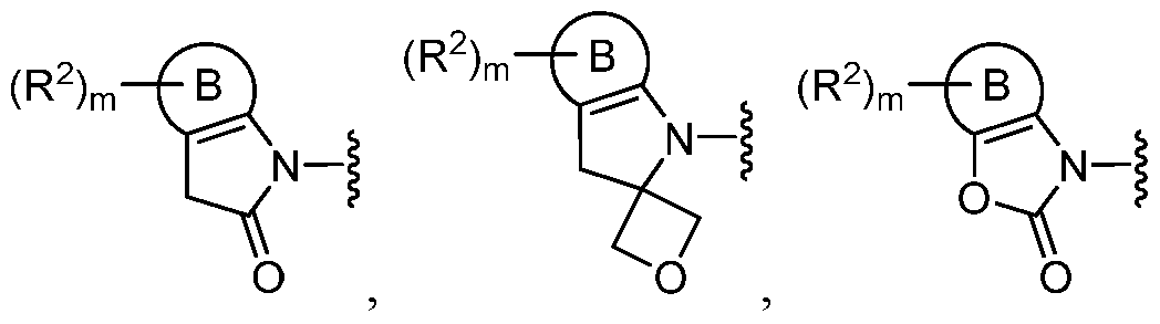 Figure imgf000005_0003