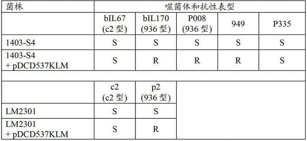 Figure BDA00003021114100662