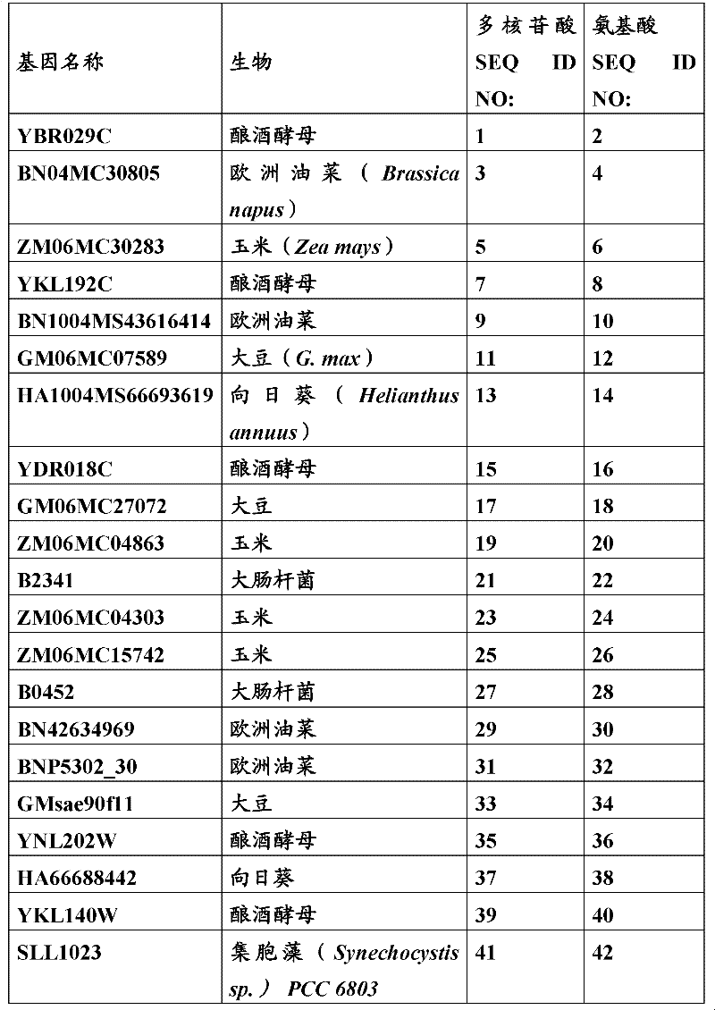 Figure BDA0000055817950000071