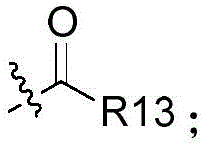 Figure BDA0001971427690000052