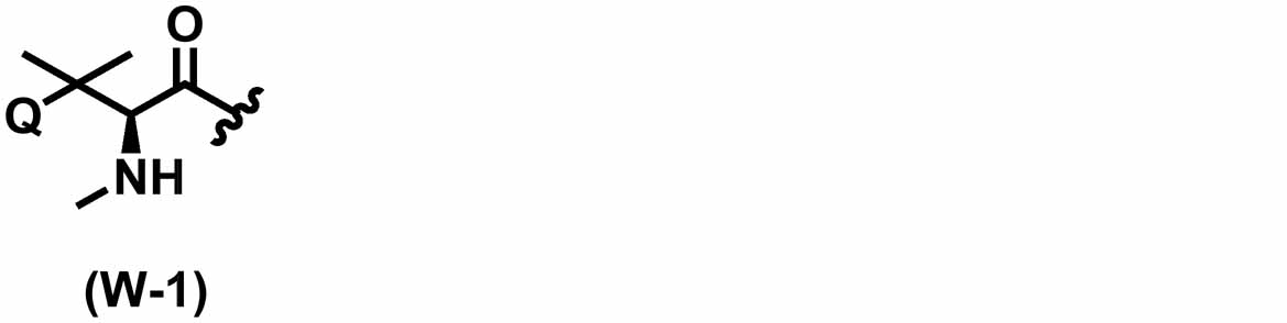 Figure JPOXMLDOC01-appb-C000021