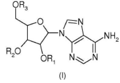 Figure 112009081259918-pat00002