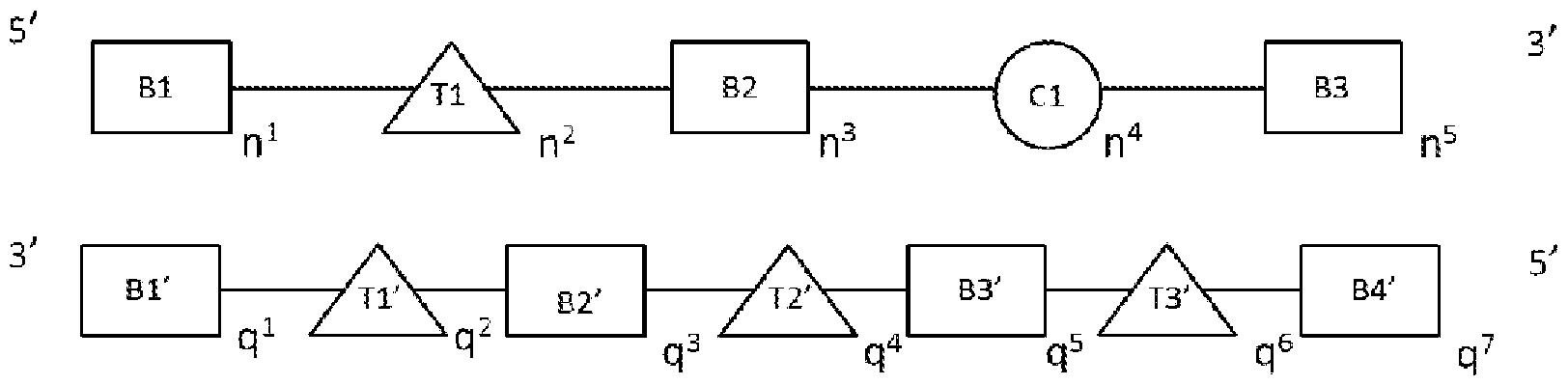 Figure imgf000051_0001
