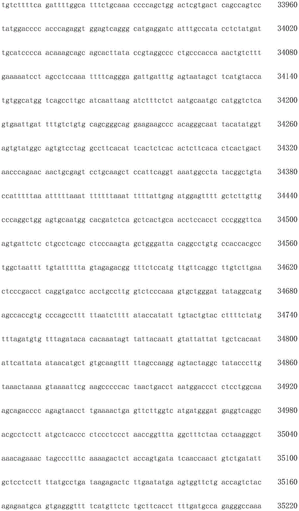 Figure IDA0003936212790001271