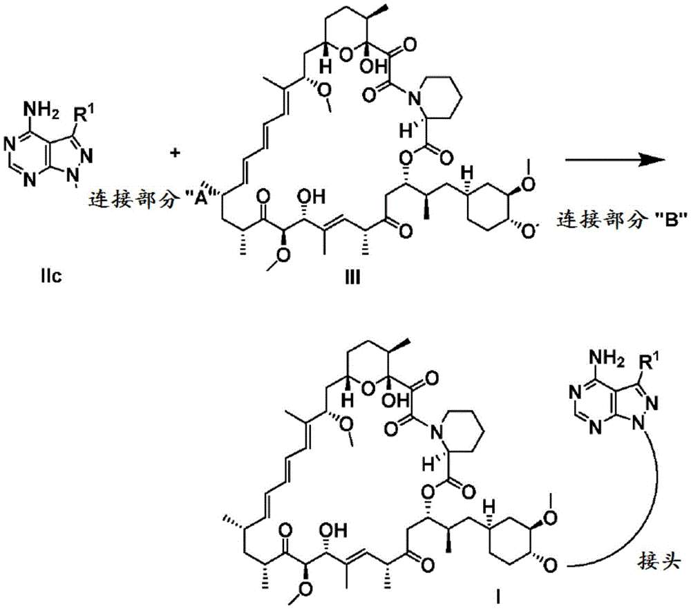 Figure BDA0001275843840001521