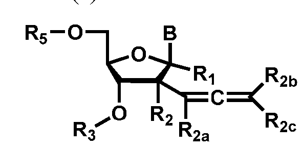 Figure imgf000008_0001