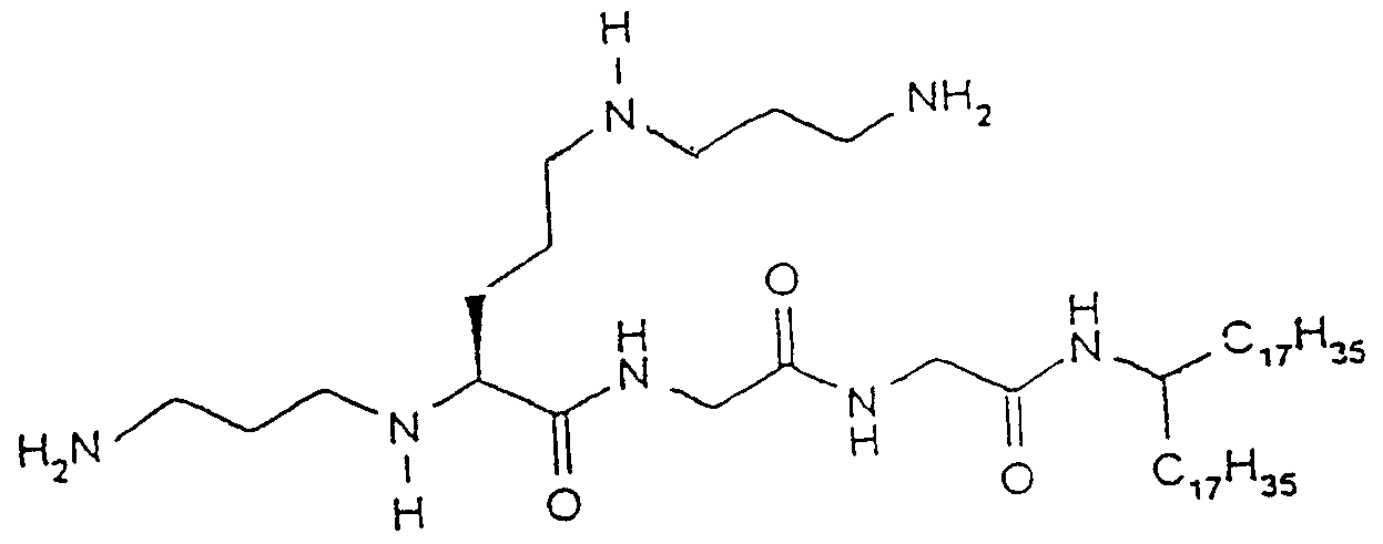 Figure imgf000009_0002