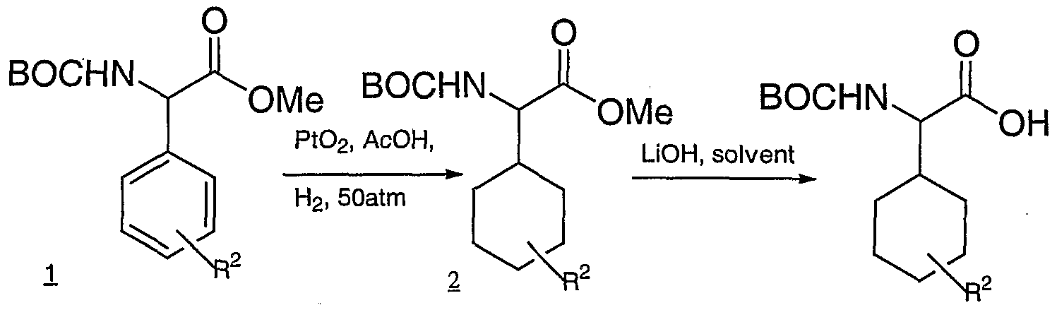 Figure imgf000032_0002