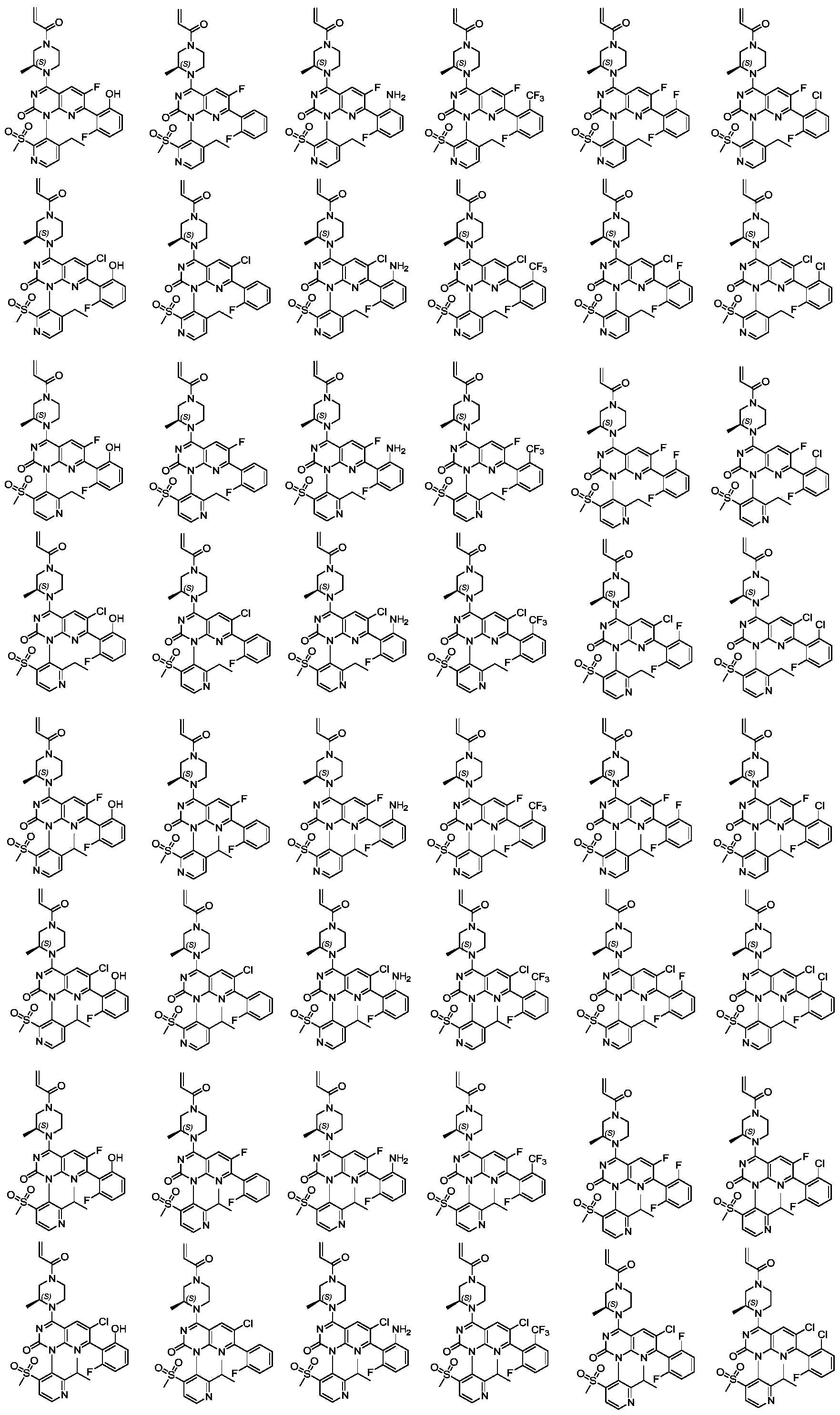 Figure PCTCN2021099875-appb-100030