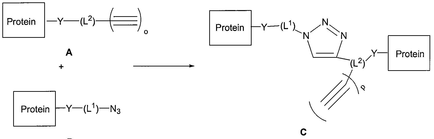 Figure imgf000009_0001