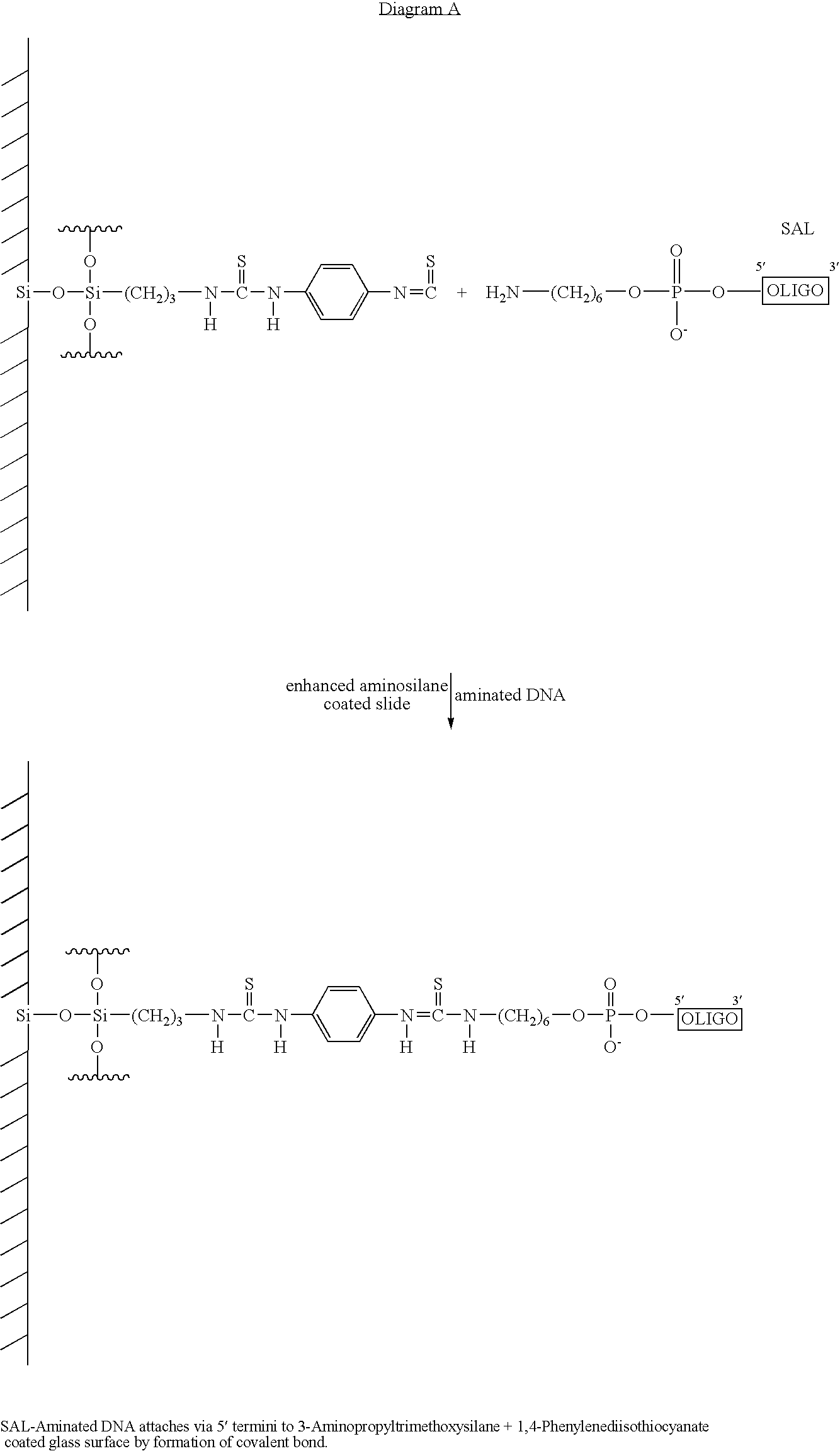 Figure US20100028873A1-20100204-C00001