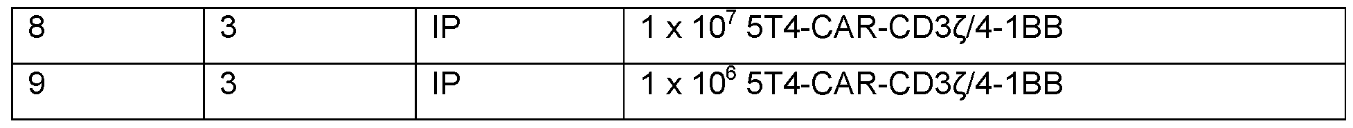 Figure imgf000077_0001