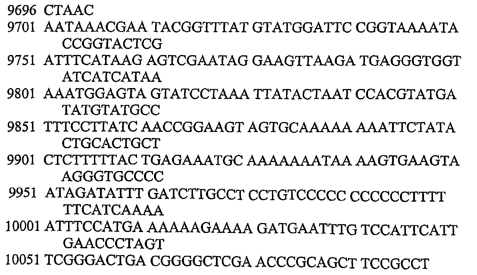 Figure 112005063127682-pct00020